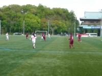 P1060775.JPG